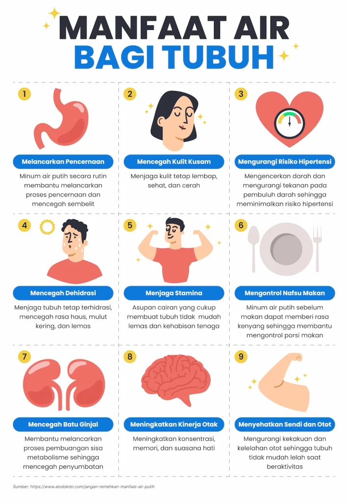 Manfaat Belajar Tentang Pentingnya Air Bagi Tubuh Manusia Panduan Lengkap Untuk Orang Tua Dan Pendidik