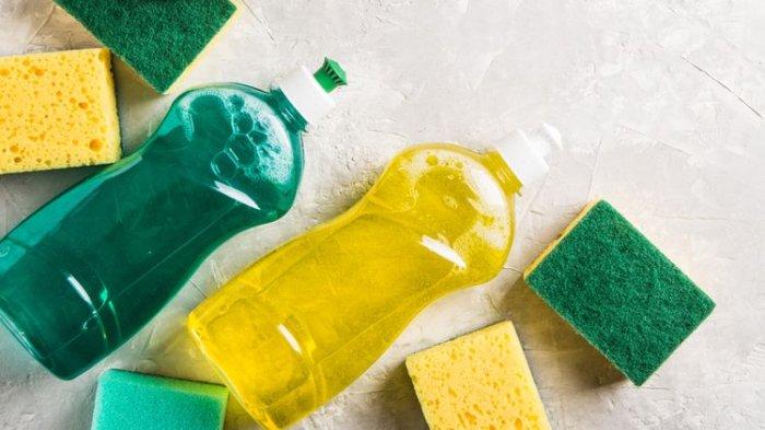 Menyelami Pilihan Hijau Tips Memilih Sabun Mandi Cair Yang Ramah Lingkungan Untuk Mandi Lebih Bermakna